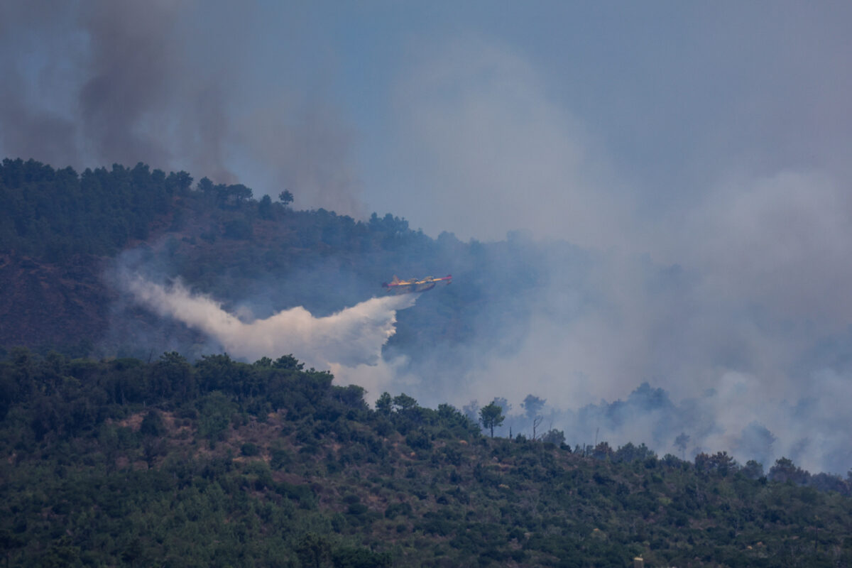 Incendio Vesuvio, i danni al Parco Nazionale FOTO