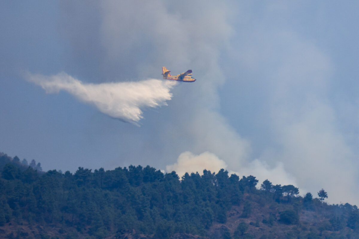Incendio Vesuvio, i danni al Parco Nazionale FOTO