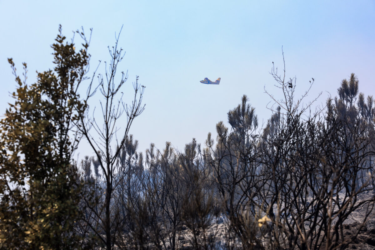 Incendio Vesuvio, i danni al Parco Nazionale FOTO