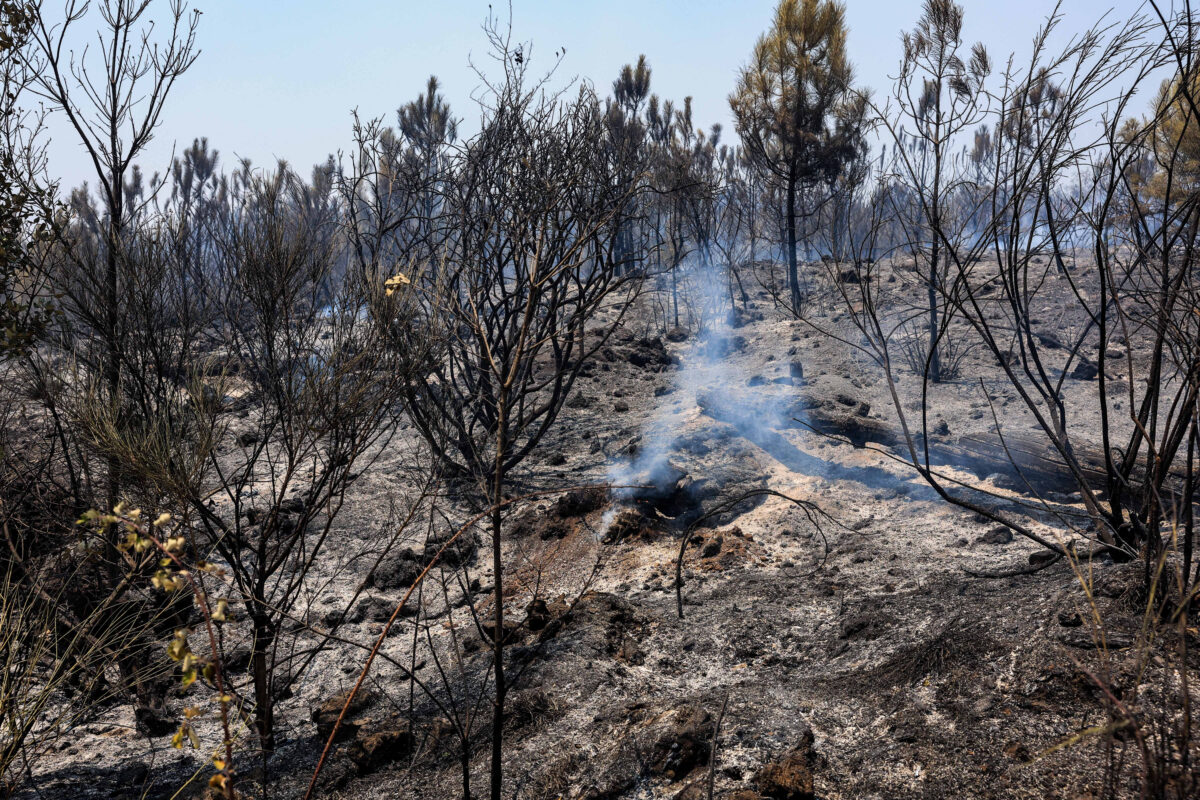 Incendio Vesuvio, i danni al Parco Nazionale FOTO