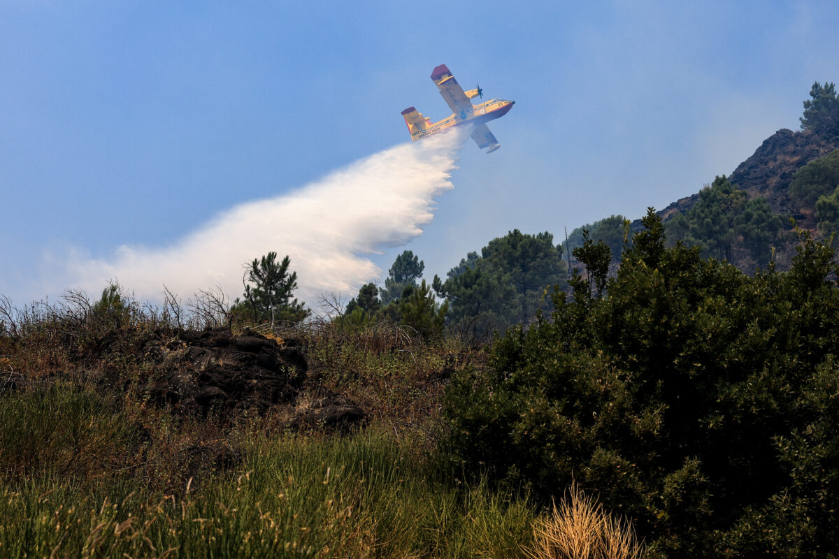 Incendio Vesuvio, i danni al Parco Nazionale FOTO