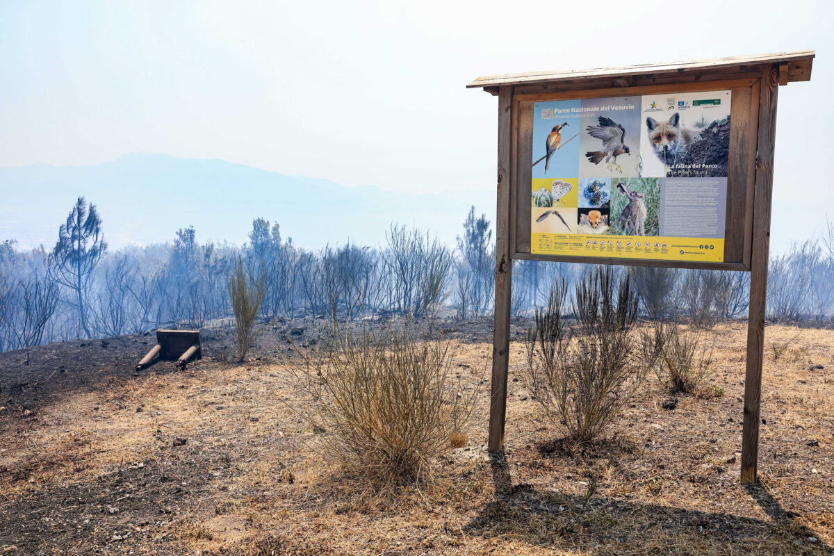 Incendio Vesuvio, i danni al Parco Nazionale FOTO