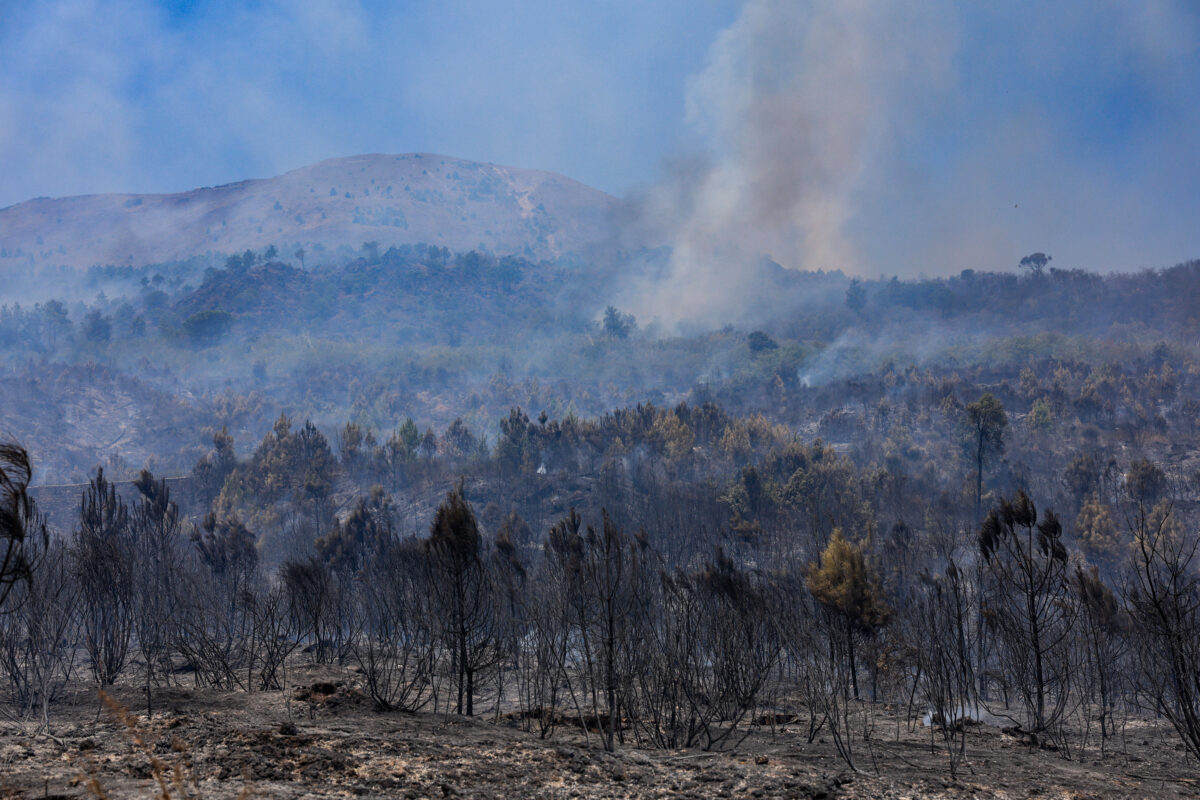 Incendio Vesuvio, i danni al Parco Nazionale FOTO Incendio Vesuvio, i danni al Parco Nazionale FOTO