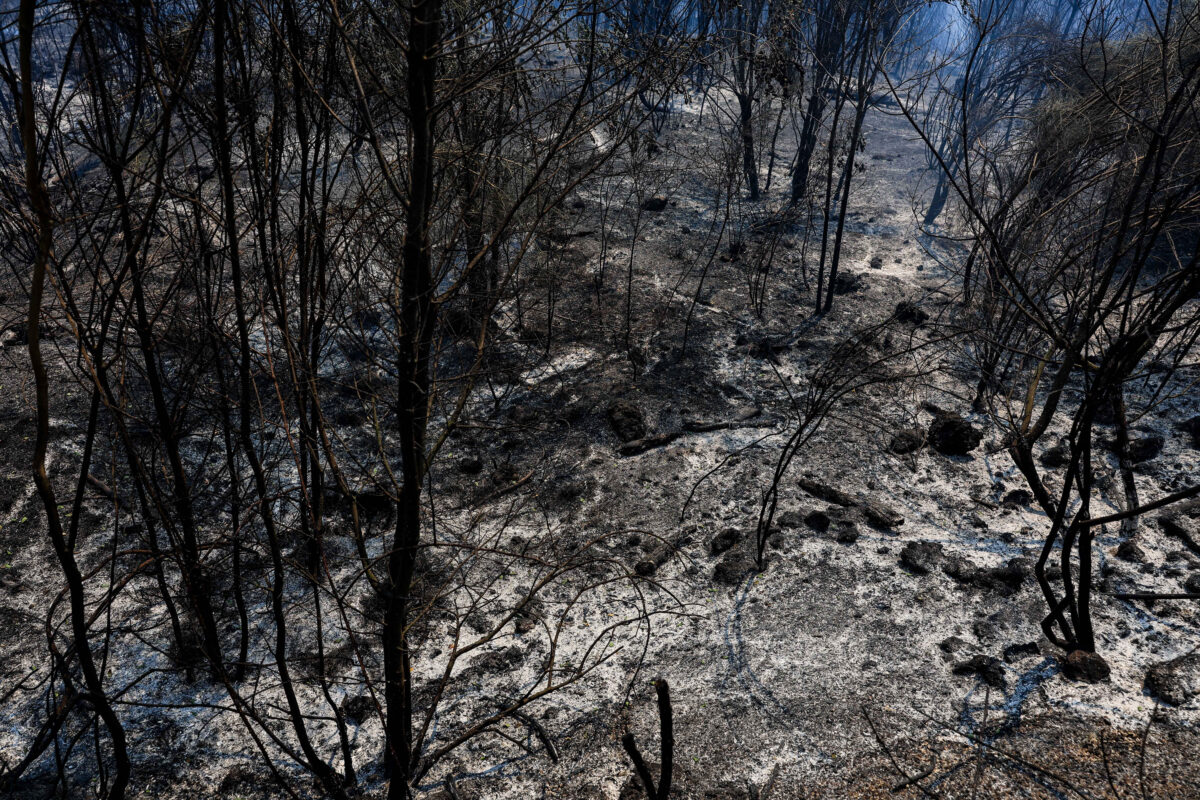 Incendio Vesuvio, i danni al Parco Nazionale FOTO