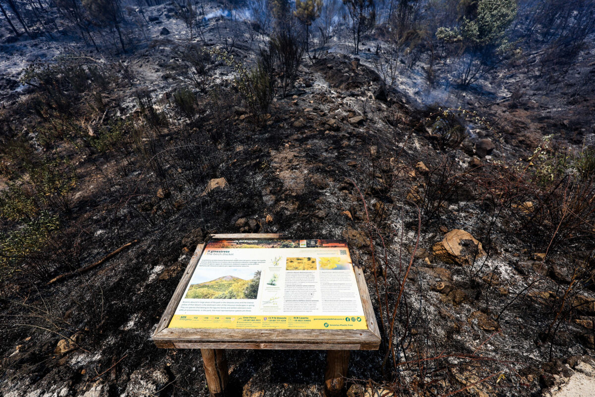 Incendio Vesuvio, i danni al Parco Nazionale FOTO