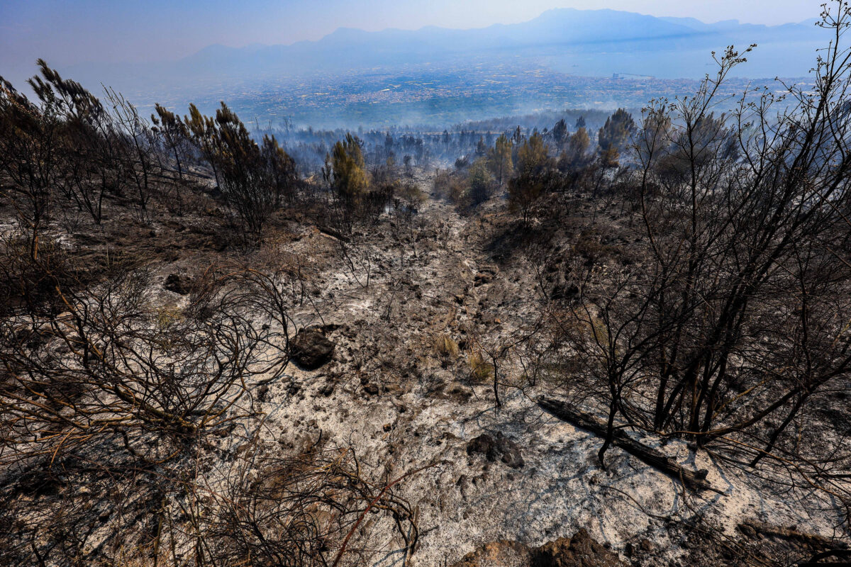 Incendio Vesuvio, i danni al Parco Nazionale FOTO