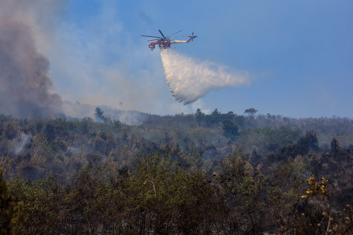 Incendio Vesuvio, i danni al Parco Nazionale FOTO
