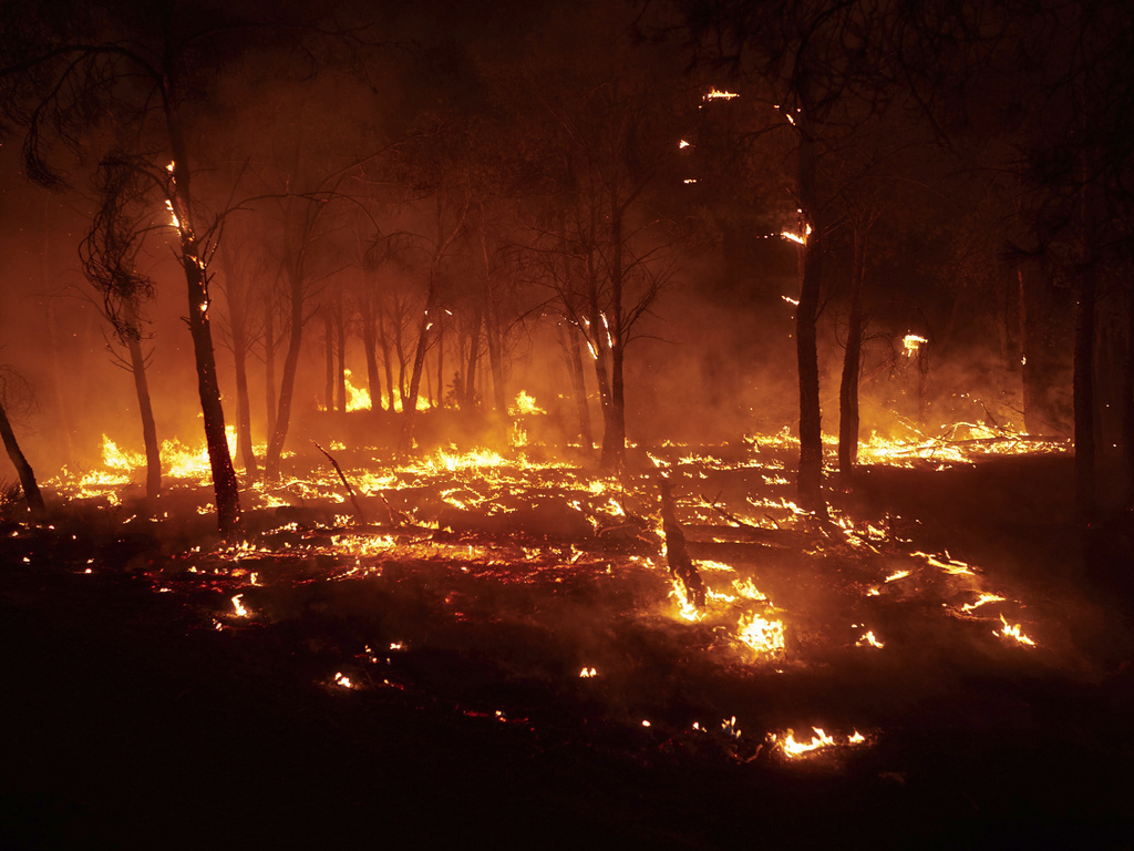 incendi in spagna 7 feriti gravi per i roghi in castiglia e leon 25 piromani in manette