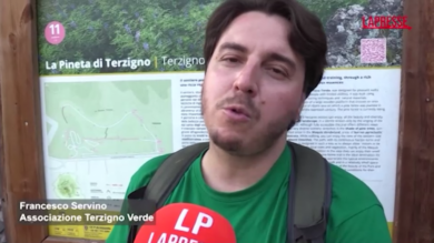 Incendio Vesuvio, la denuncia delle associazioni: "Mancate bonifiche e manutenzioni alla base del disastro"