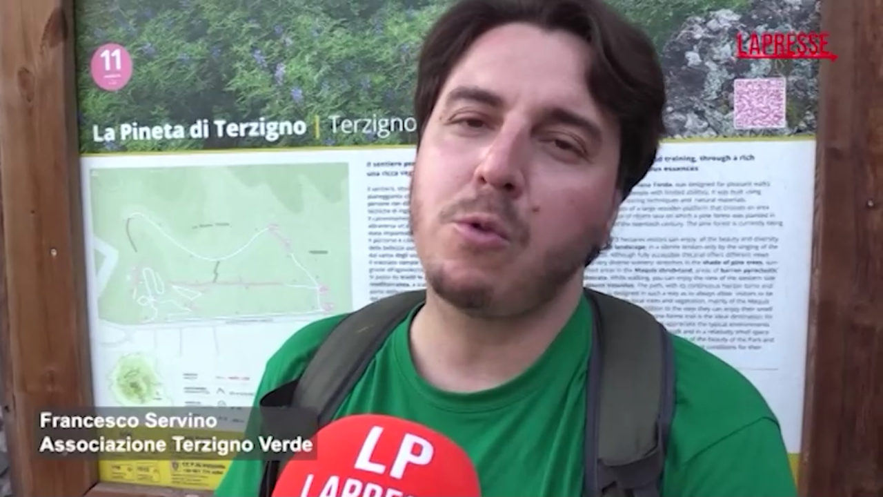 incendio vesuvio la denuncia delle associazioni mancate bonifiche e manutenzioni alla base del disastro