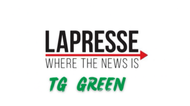 Tg Green 14 agosto – In arrivo il bonus per comprare veicoli elettrici