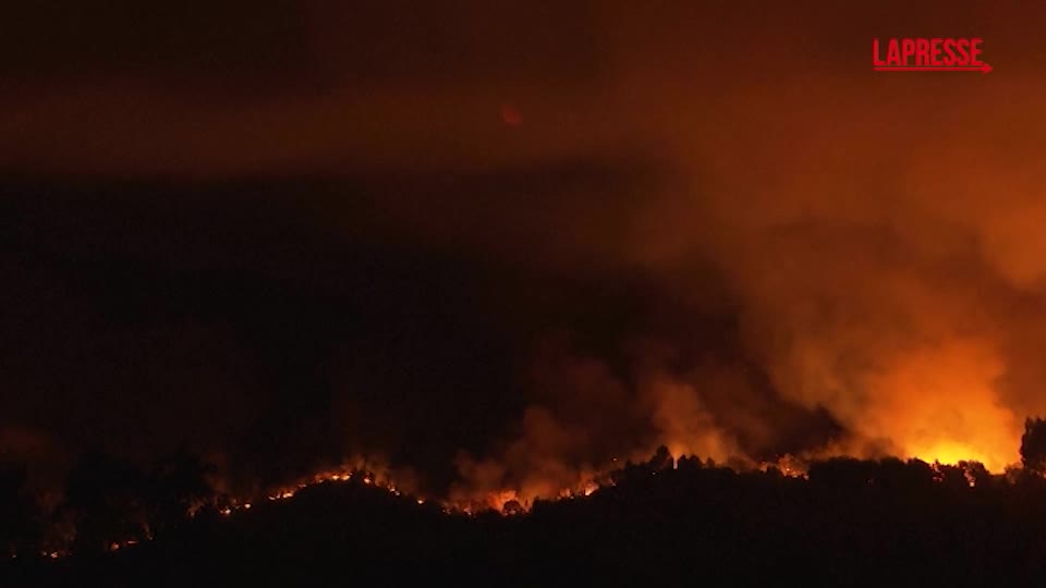 portogallo i vigili del fuoco lottano contro vasti roghi