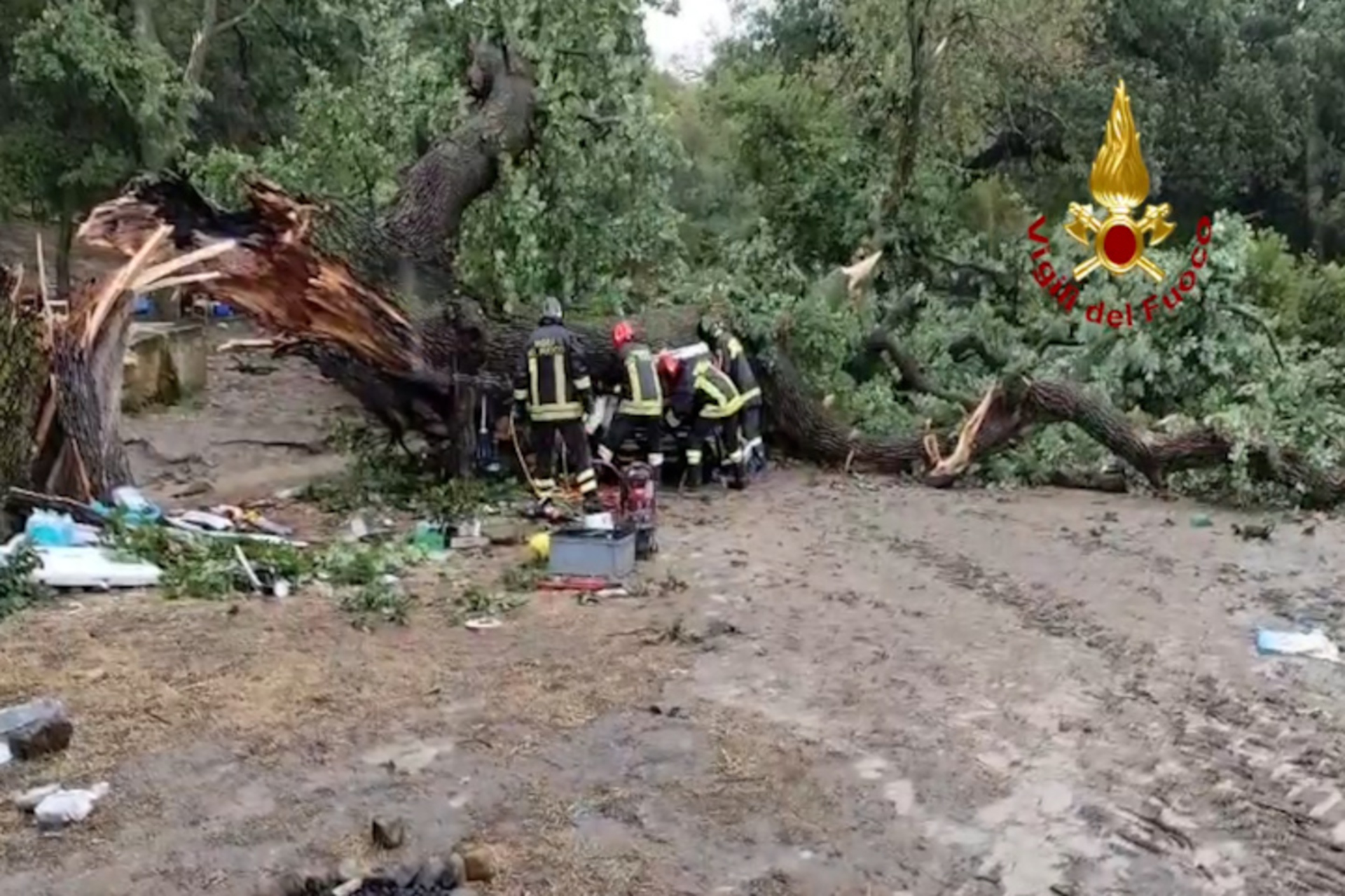 Maltempo, albero cade su auto a Matera: un morto e tre feriti