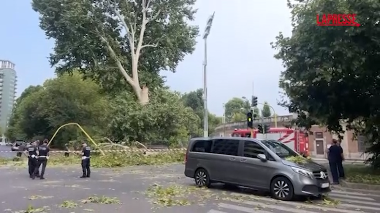 milano crolla ramo su un auto in transito paura in via canonica