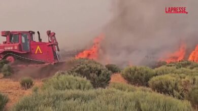 Incendi in Spagna, altro rogo nella provincia di Zamora