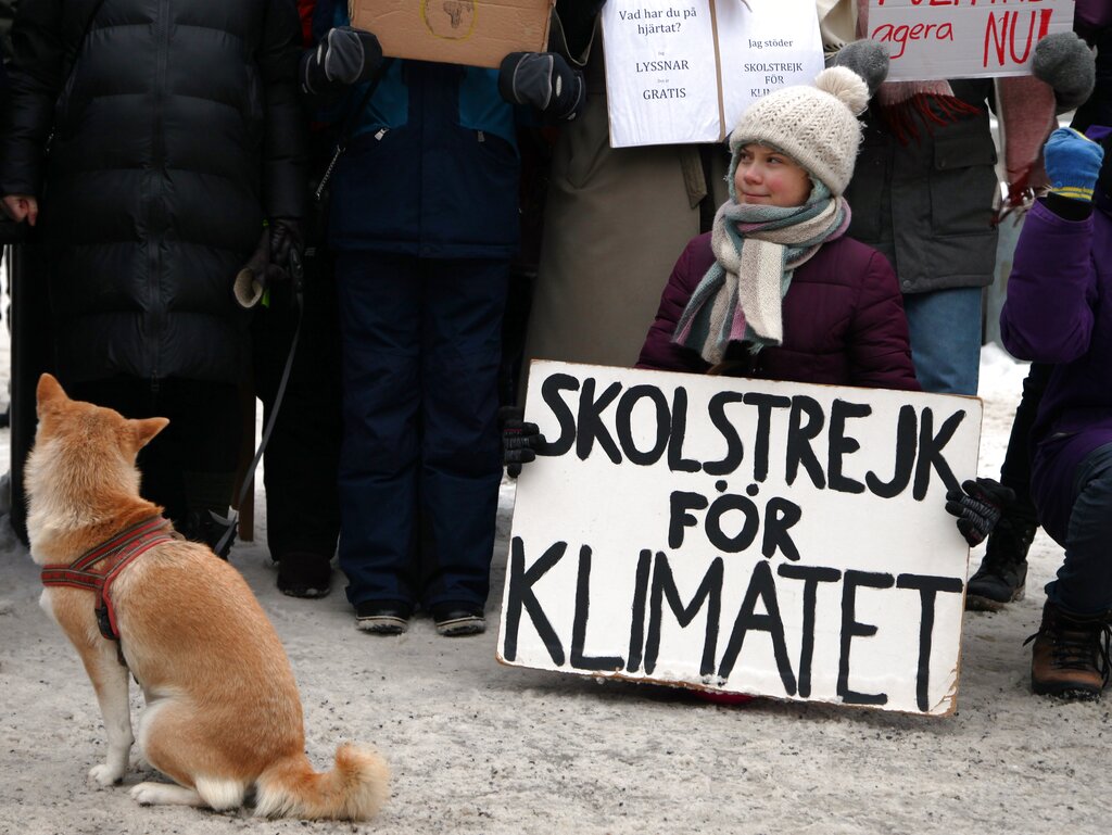 Greta Thunberg, il 20 agosto 2018 il primo sciopero per il clima: sono passati 7 anni