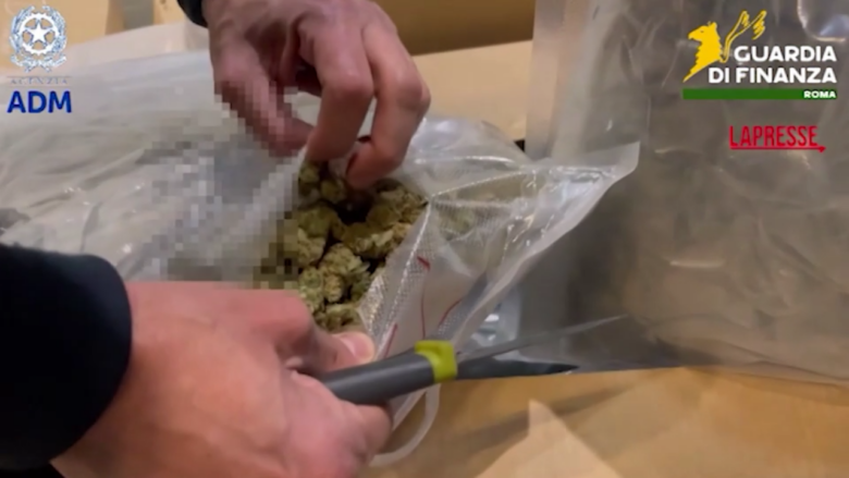 Roma, 81 chili di marijuana nascosti tra gli abiti da sposa: il video del maxi sequestro