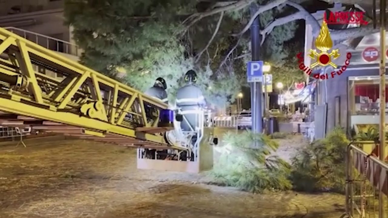 maltempo a rimini alberi caduti per il vento il video dei vigili del fuoco