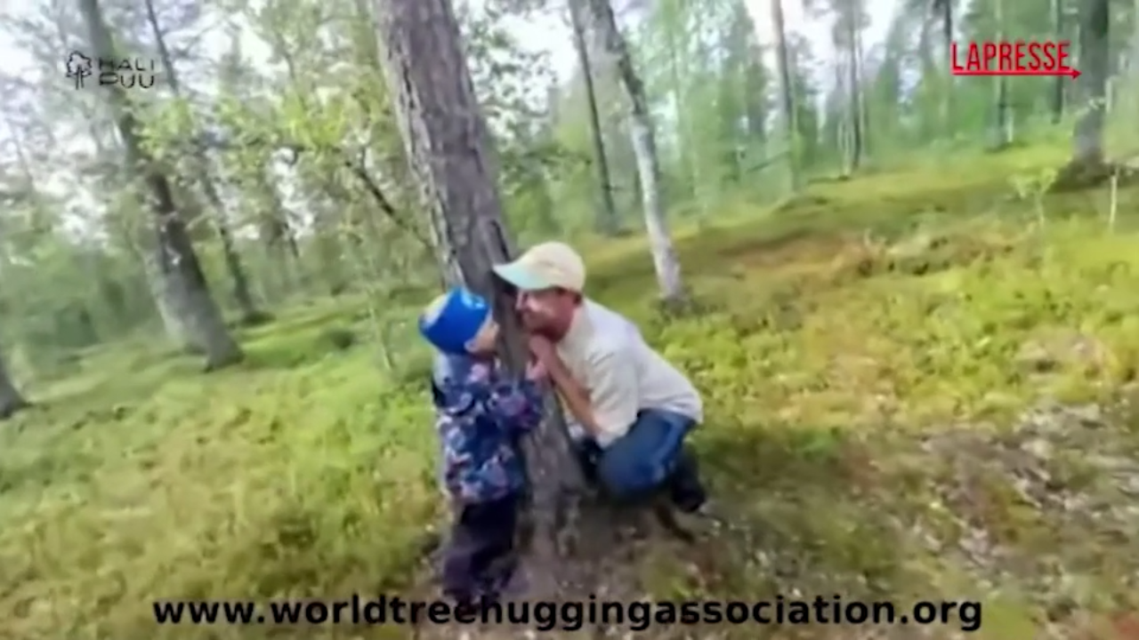 Finlandia, papà e figlio vincono i campionati mondiali di abbraccio degli alberi Finlandia, papà e figlio vincono i campionati mondiali di abbraccio degli alberi