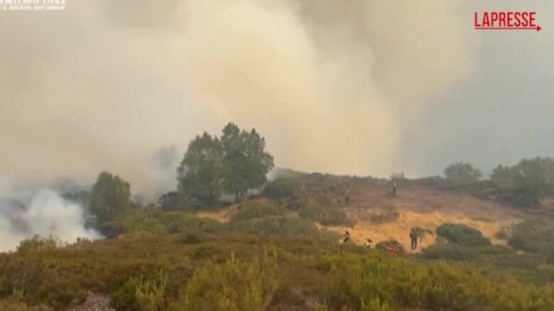 Incendi in Spagna, oltre 382mila ettari bruciati: in campo squadre da Francia e Germania
