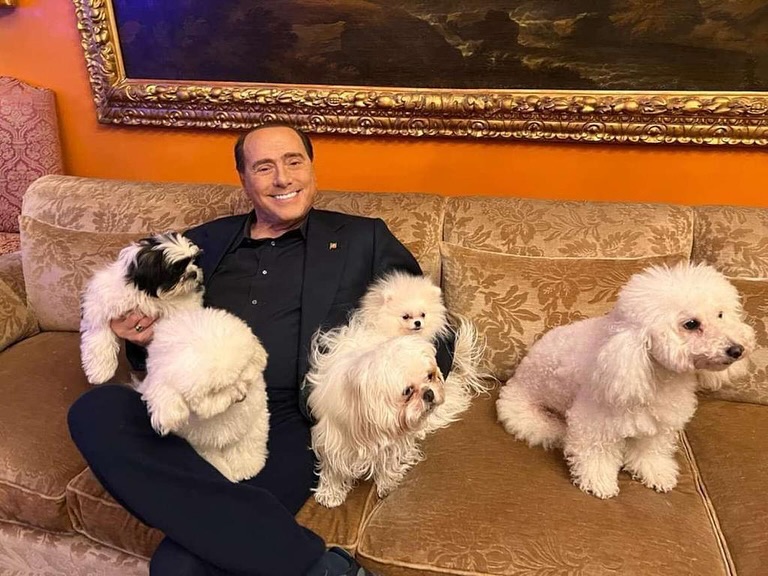 Marta Fascina celebra la giornata mondiale del cane: su Instagram foto di Berlusconi e Dudù