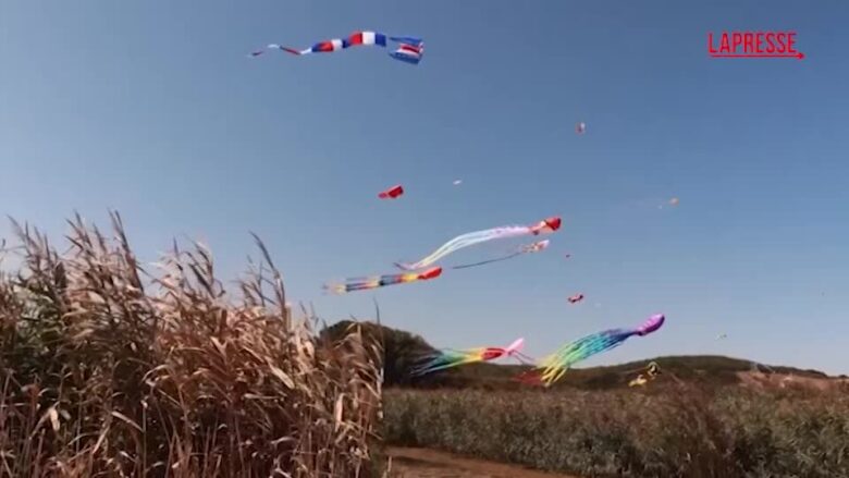 Bulgaria, sul Mar Nero lo spettacolo del festival degli aquiloni