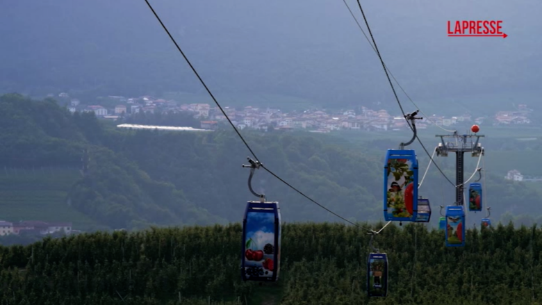 In Trentino la prima funivia al mondo per il trasporto delle mele