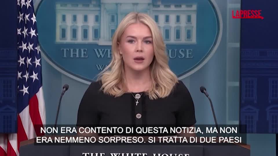 Ucraina, Casa Bianca: "Trump non è contento, Mosca e Kiev non sono pronte alla pace" Ucraina, Casa Bianca: "Trump non è contento, Mosca e Kiev non sono pronte alla pace"