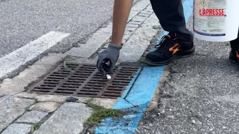 Virus Chikungunya, cominciata disinfestazione a San Donato dopo caso positivo