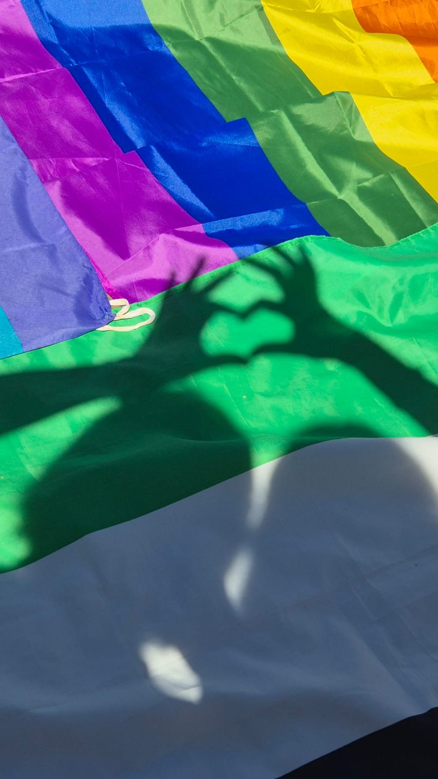 Galleria foto 'Local March for Gaza anche a Torino, oggi la prima tappa – Le foto' - foto 3