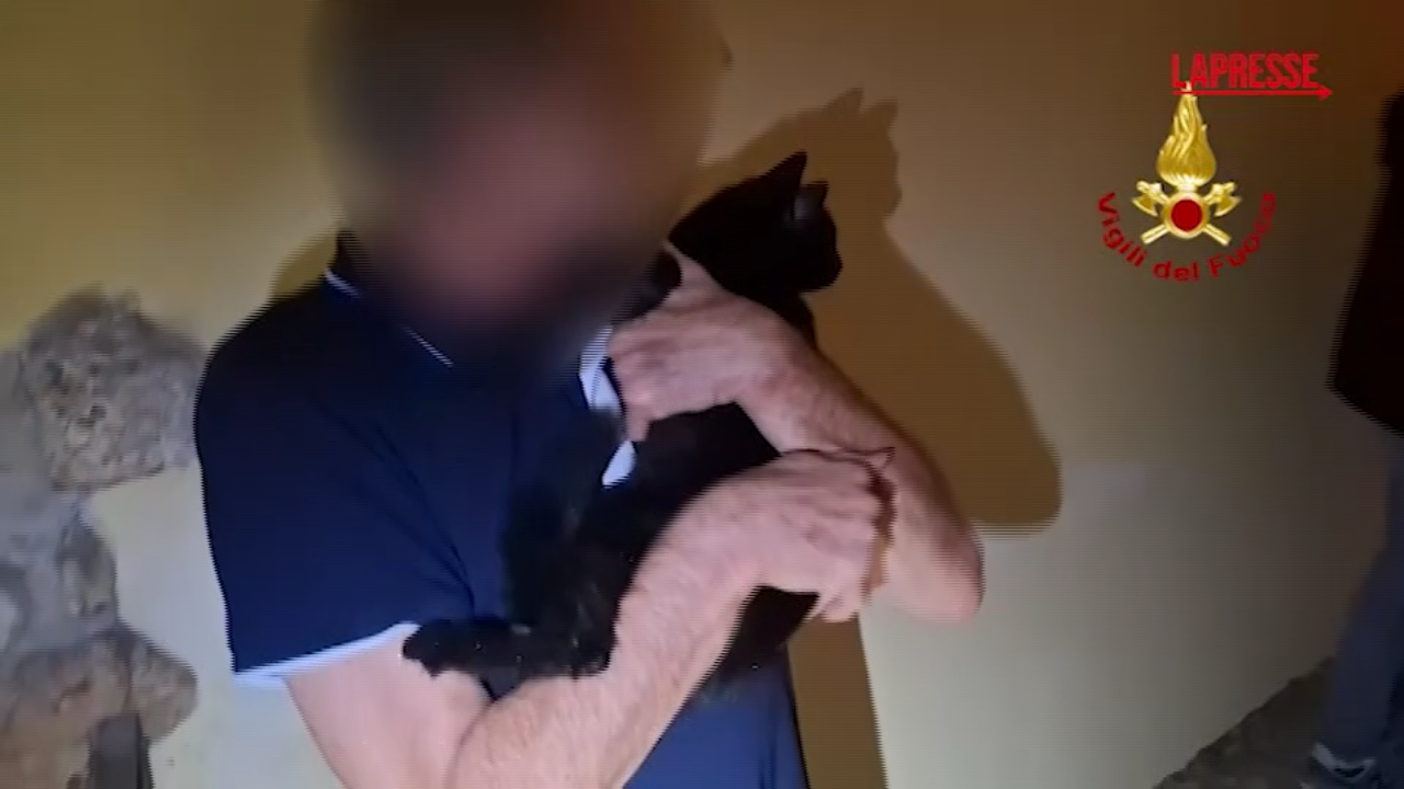 Pordenone, il salvataggio di un gattino in difficoltà: era incastrato in una tubazione Pordenone, il salvataggio di un gattino in difficoltà: era incastrato in una tubazione
