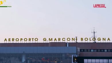 Bologna, sequestrati 500kg di infiorescenze di canapa sativa: le immagini della Gdf