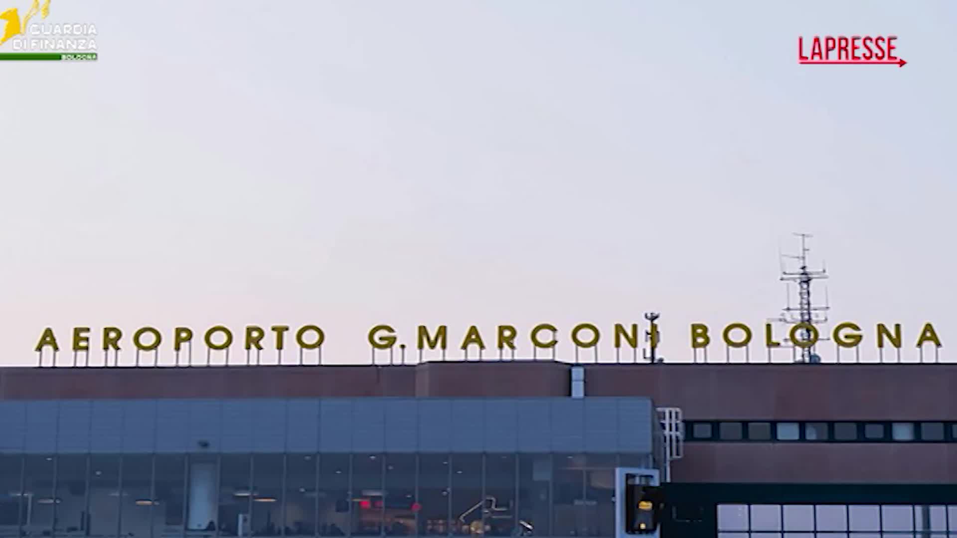 Bologna, sequestrati 500kg di infiorescenze di canapa sativa: le immagini della Gdf Bologna, sequestrati 500kg di infiorescenze di canapa sativa: le immagini della Gdf