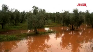 Inondazioni in Croazia, colpite diverse città costiere