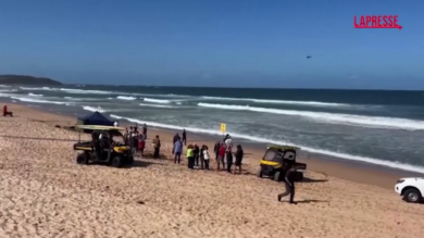 Australia, uomo ucciso da uno squalo a Sidney: la spiaggia della tragedia