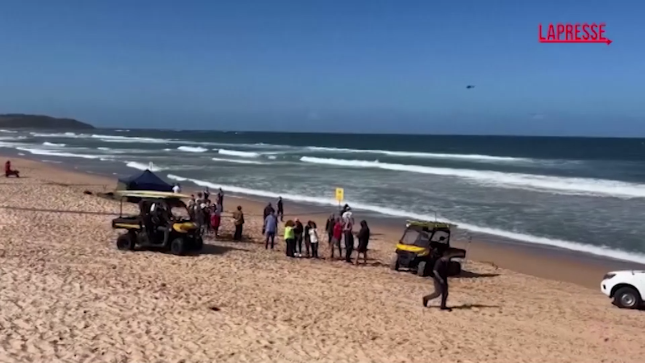 Australia, uomo ucciso da uno squalo a Sidney: la spiaggia della tragedia