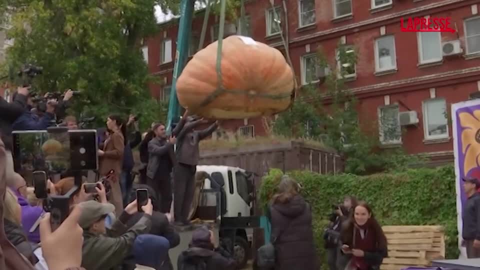 Russia, zucca da record da quasi una tonnellata: le immagini