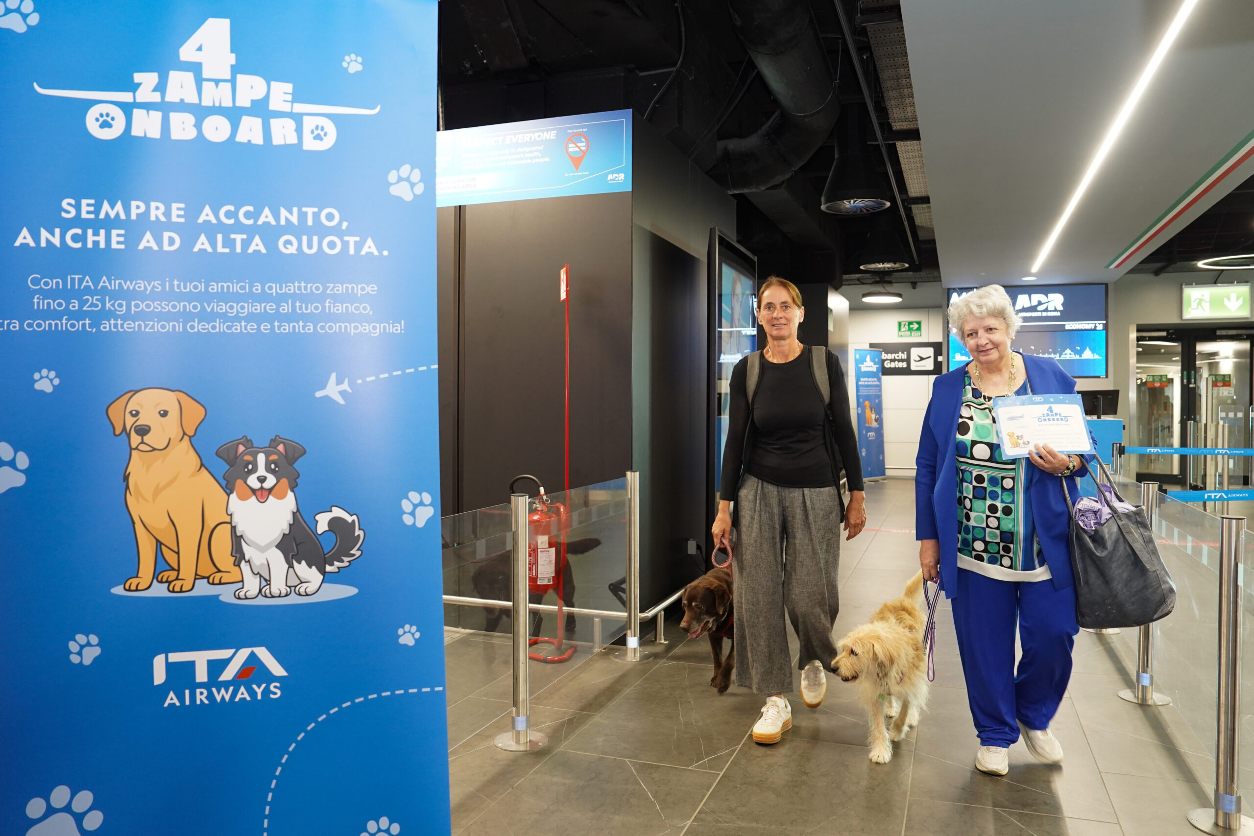 Cani di grossa taglia in aereo in cabina, al via i voli: le regole