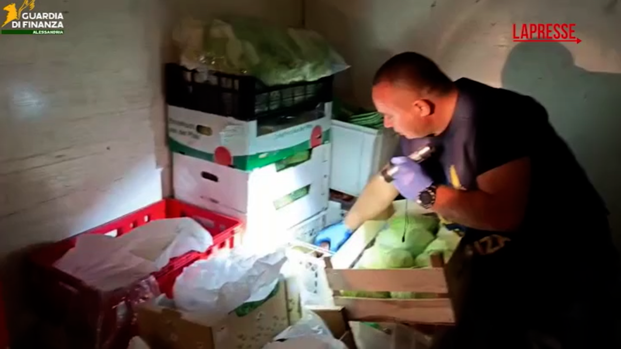 tortona sequestrati 382 chili di cibo cinese in cattivo stato di conservazione le immagini