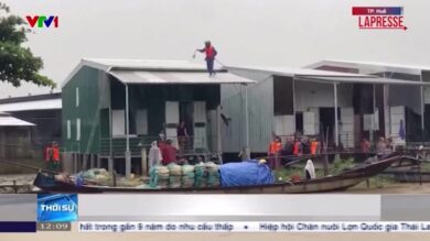 Vietnam, le immagini del tifone Bualoi che si abbatte sulla costa