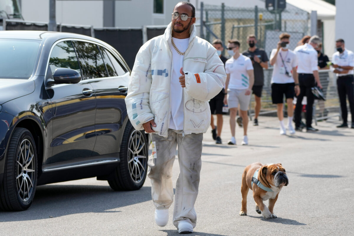 hamilton morto il cane roscoe accoglierlo nella mia vita 232 stata la decisione migliore