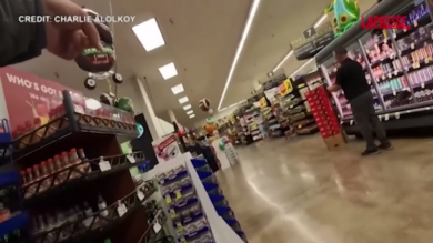 Arizona, orso bruno corre tra gli scaffali di un supermercato