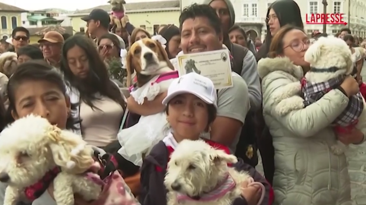 A Quito la tradizionale benedizione degli animali domestici A Quito la tradizionale benedizione degli animali domestici