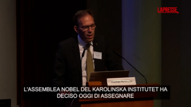 Nobel, premio Medicina a Mary E. Brunkow, Fred Ramsdell e Shimon Sakaguchi