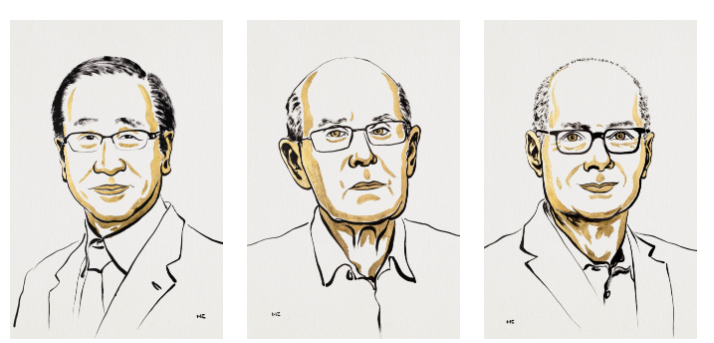 nobel per la chimica 2025 vincono kitagawa robson e yaghi