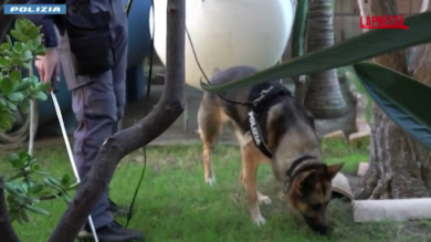 Reggio Calabria, duplice omicidio di due bambini: giovane madre ai domiciliari