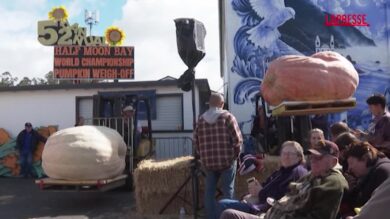 Halloween, zucca da record in California: oltre una tonnellata