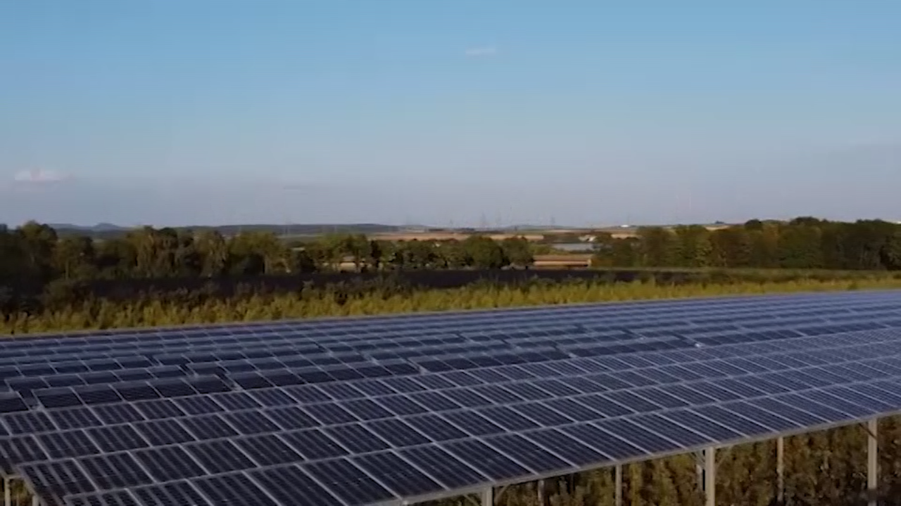 Tg Green 16 ottobre – Meno inquinamento e più risparmio grazie all Tg Green 16 ottobre – Meno inquinamento e più risparmio grazie all