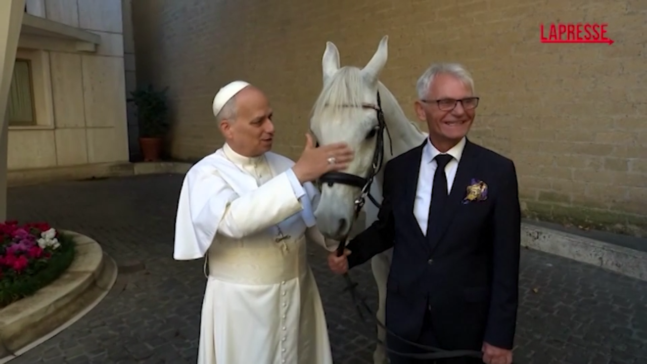 Papa Leone XIV riceve in regalo un cavallo bianco Papa Leone XIV riceve in regalo un cavallo bianco