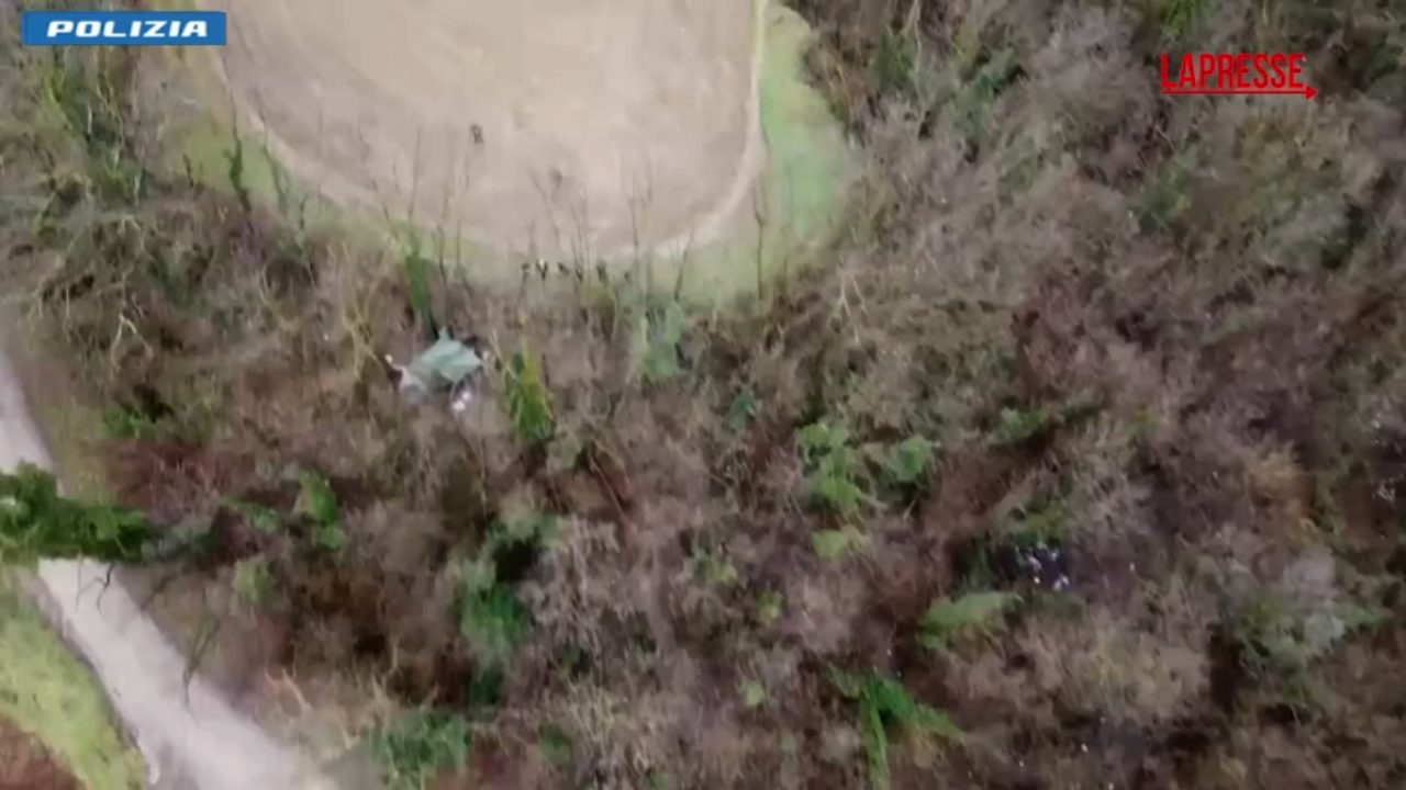 varese trapper arrestato per droga il dormitorio dei pusher nel boschetto di malnate